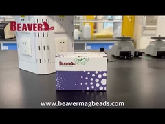 BeaverBeadsTM Mag NH2 Magnetische Perlen Unboxing Video