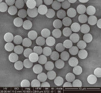 Qualität  1μm 10 mg / mL 50 mL Carboxylated Magnetic Beads For Immunodiagnosis Fabrik