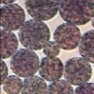 Qualität  5 mL NHS Activated Magnetic Beads Preactivated N - Hydroxy Succinimide Nanoparticle Fabrik