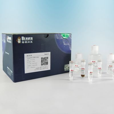 Viren-DNA-RNS Kit For Fresh Or Frozen-Proben der Plasma-und Serum-Extraktion