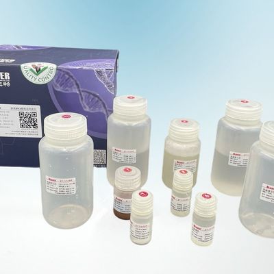 Biber bördelt verteilende DNA-Extraktions-Kit For Prenatal Diagnosis And-Tumor-Siebung