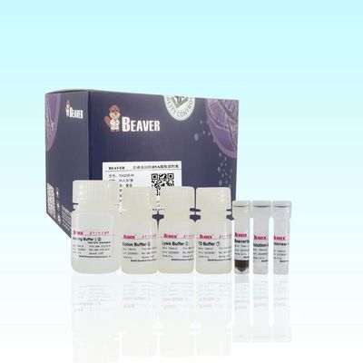 Hoher Reinheitsgrad DNA BeaverBeads-Blut DNA-Kit For Extract