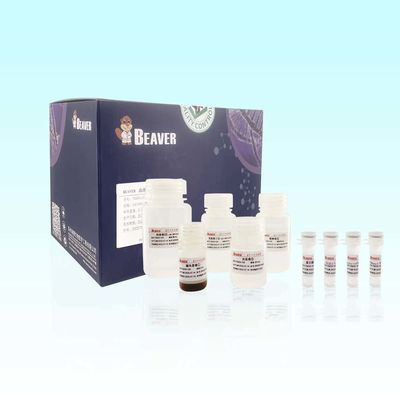 Blut DNA-Extraktions-Kit Extract DNA benutzt für das Der Reihe nach ordnen und Entdeckung