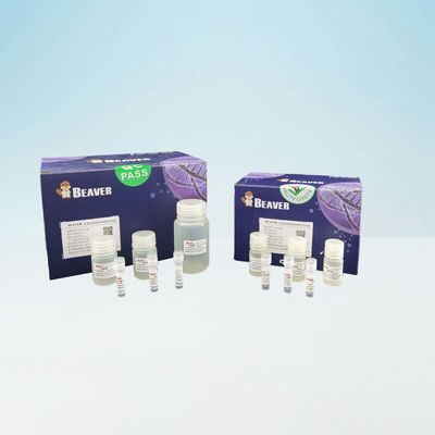 Schnell BeaverBeads-Blut DNA Kit For Laboratory Use