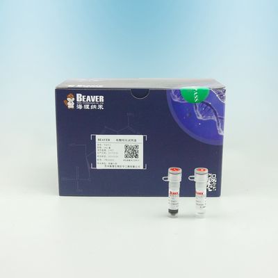 5 ml/60 ml/450 ml DNA-Isolierungs-Kit For DNA-Bibliotheks-Gebäude