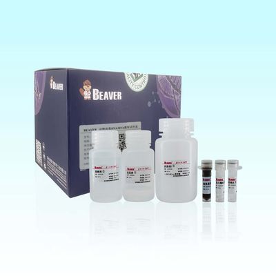 96 Rxns BeaverBeads füllten vor Tierviren-DNA-RNS Kit For Multiple Complex Samples