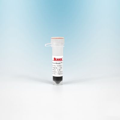 Magnetische Perlen NHS 300 Nanometer 10 ml BeaverBeads für Zellisolierung mit höherer Empfindlichkeit