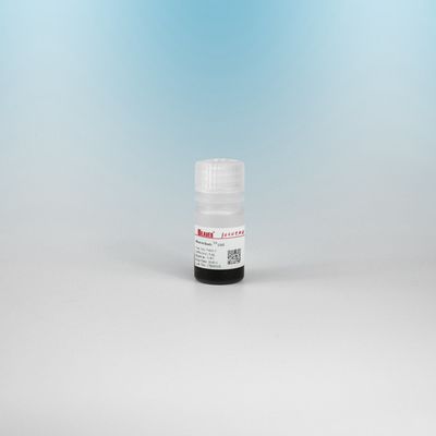 BEAVER GST Fusionsprotein gereinigte Perlen GSH Magnetische Perlen Proteinreinigung Neues Funktionsmaterial Entworfenes GSH-Kit GST Proteinreinigung