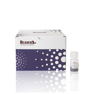 50% Volumenanteil 10 ml Agarose OH Maggikorallen Proteinreinigung Nukleinsäurextraktion und Reinigung
