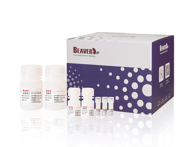 Viren-DNA-RNS Kit For Fresh Or Frozen-Proben der Plasma-und Serum-Extraktion