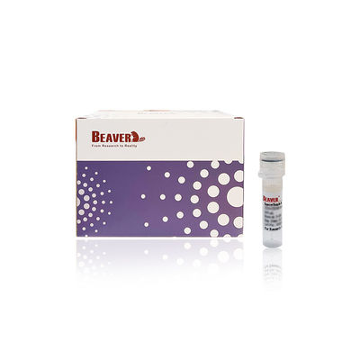 BEAVER GST Fusionsprotein gereinigte Perlen GSH Magnetische Perlen Proteinreinigung Neues Funktionsmaterial Entworfenes GSH-Kit GST Proteinreinigung