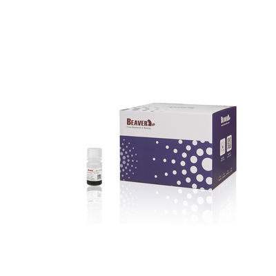 BEAVER GST Fusionsprotein gereinigte Perlen GSH Magnetische Perlen Proteinreinigung Neues Funktionsmaterial Entworfenes GSH-Kit GST Proteinreinigung