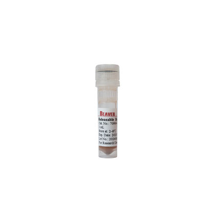 BEAVER GST Fusionsprotein gereinigte Perlen GSH Magnetische Perlen Proteinreinigung Neues Funktionsmaterial Entworfenes GSH-Kit GST Proteinreinigung
