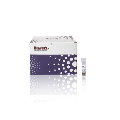 BeaverBeads® Anti-HA Magnetische Perlen HA Tag Proteinreinigung Magnetische Perlen 0,5 ml / 1 ml / 5 ml HA-Protein Perlen