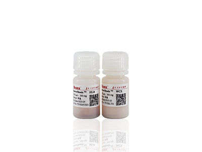 100 ml BeaverBeads IDA-Co mit hohem Durchsatz und geringen Kosten 30-150um 10% Konzentration