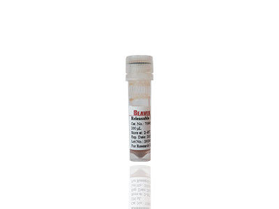 Mag OH Magnetische Perlen DNA-Extraktion Siliciummagnetische Perlen Fe3O4 1μm 10 mg / ml 50 mL