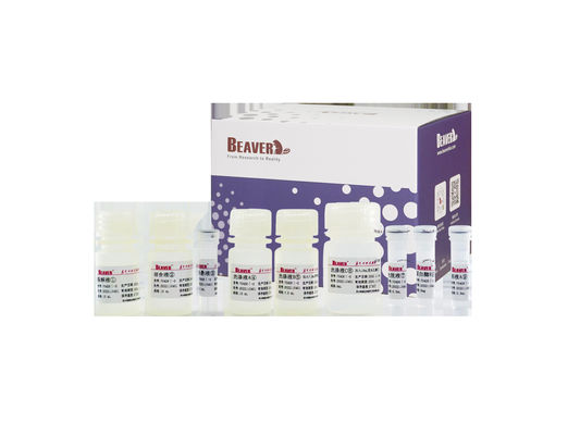 BeaverBeadsTM Abwasser-Nukleinsäure-Extraktions-Kits Umweltprüfung