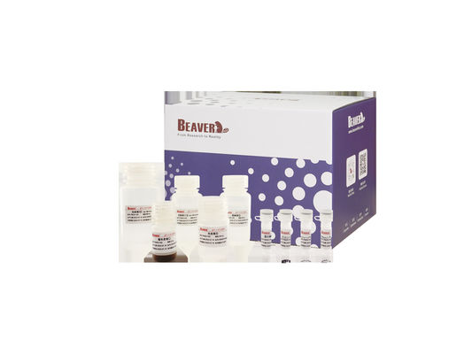 BeaverBeadsTM DNA / RNA Blut Nukleinsäure Extraktion Magnetische Perlen Kits Genom Extraktion Extraktion RNA Kit Genomik