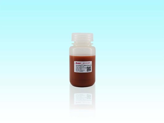 BeaverBeads 10~30μm Magros Streptavidin Magnetische Perlen Proteinanreicherung und Reinigung