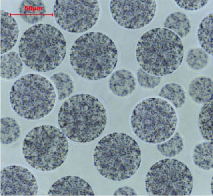 BeaverBeads 10-30 μm Magros Streptavidin Magnetkügelchen: Die ultimative Lösung für Proteinanreicherung und -reinigung