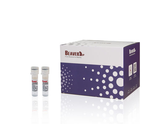 BeaverBeadsTM Nucleic Acid Kit PCR Reagenz zur Reinigung von DNA und zur Entfernung von Unreinheiten aus PCR-Produkten