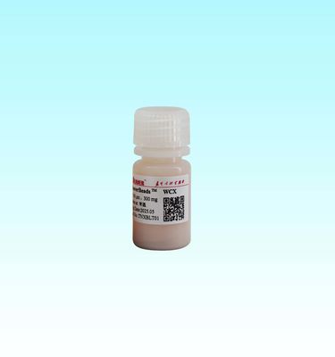 15-50 μm Polymer-Kern WCX Magnetkugeln mit Fe3O4 Magnetkern und hoher spezifischer Oberfläche von 700-850 m2/g