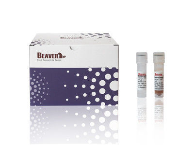 BeaverBeads Maus CD4 Zell-Isolierungs-Kit CE-zertifiziert für Laborforschung