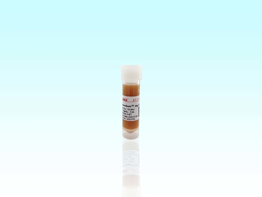 BeaverBeads Magrose DEAE magnetische Perlen