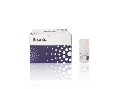 BeaverBeads Magrose NH2 Fe3O4 Magnetische Agarose Kügelchen