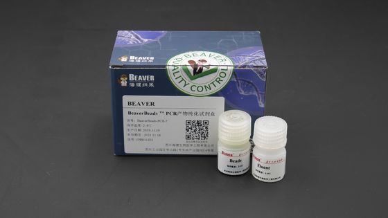 Bibliotheks-Bausatz PCR-Reinigung Kit For Genotyping DNA-250ml