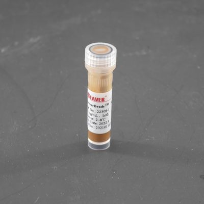 magnetische Perlen 300nm Streptavidin für die Zelle, die Sonden-Gefangennahme 10 mg/ml 1 ml sortiert