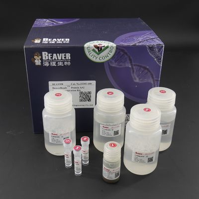 10 mg/ml magnetische Perlen des Protein-A/G für Immunopräzipitation 100 Reaktionen