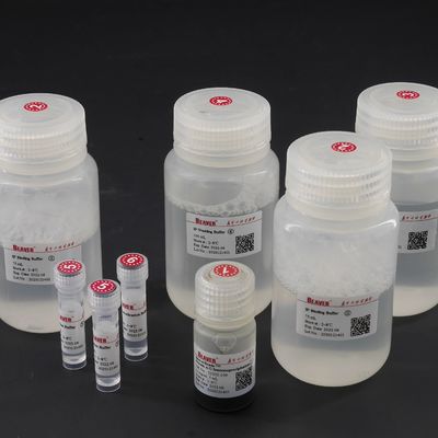 10 mg/ml magnetische Perlen des Protein-A/G für Immunopräzipitation 100 Reaktionen