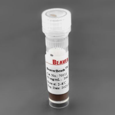 300nm 50 mg/ml 1 ml-Silikon-magnetische Perlen für Protein-Extraktion PC