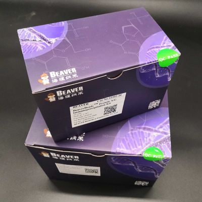 30-150 μm Agarose Strep-tag II Proteinreinigung Magbeads Kit 10% Volumenverhältnis