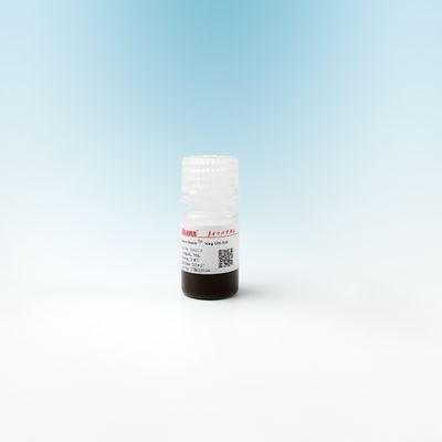 Silikon-magnetische Perlen Mag OH- für DNA-Extraktion 500nm 10 mg/ml 5 ml