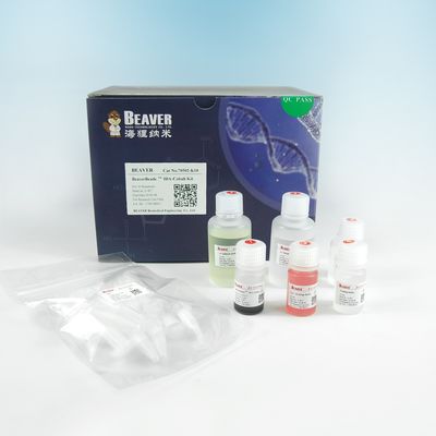 μm 150 sein Volumen-Verhältnis Umbau-Protein-Reinigungs-IDA Cobalt Magbeads Kits 10%