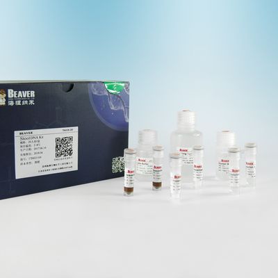 100 Reaktions-Nukleinsäure-Extraktions-Ausrüstungen petzen DNA-Extraktion DNA-Kit For Feces