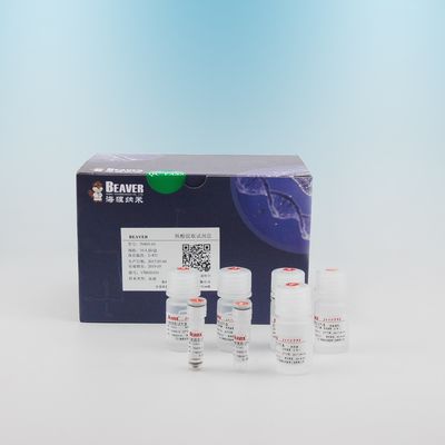 DNA-Extraktion 100 Reaktions-Blut DNA-Kit For Blood für Selbsttätigkeit