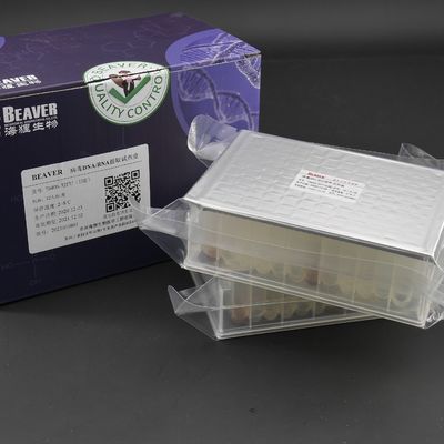 32 Unterseite der Reaktions-V Prefilled Viren-DNA-RNS Kit For Viral Nucleic Acid-Extraktion Platten