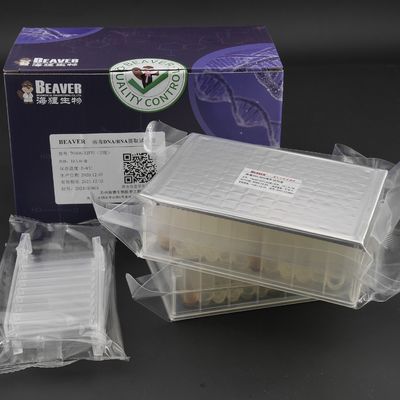 Viren-DNA-RNS Kit Nucleic Acid Extraction Kits Prefilled Unterseite der Platten-32 der Reaktions-U