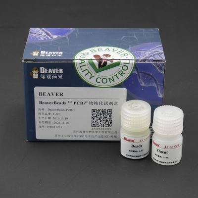 5 ml PCR-Produkt-Reinigungs-Ausrüstung DNA-Bibliotheks-Bausatz für DNA-Bibliotheks-Bau