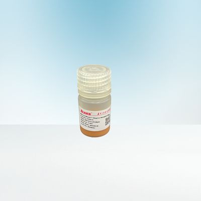 10-30μm Agrose magnetisches Streptavidin bördelt 20% für Biotinylated IgG 5 ml